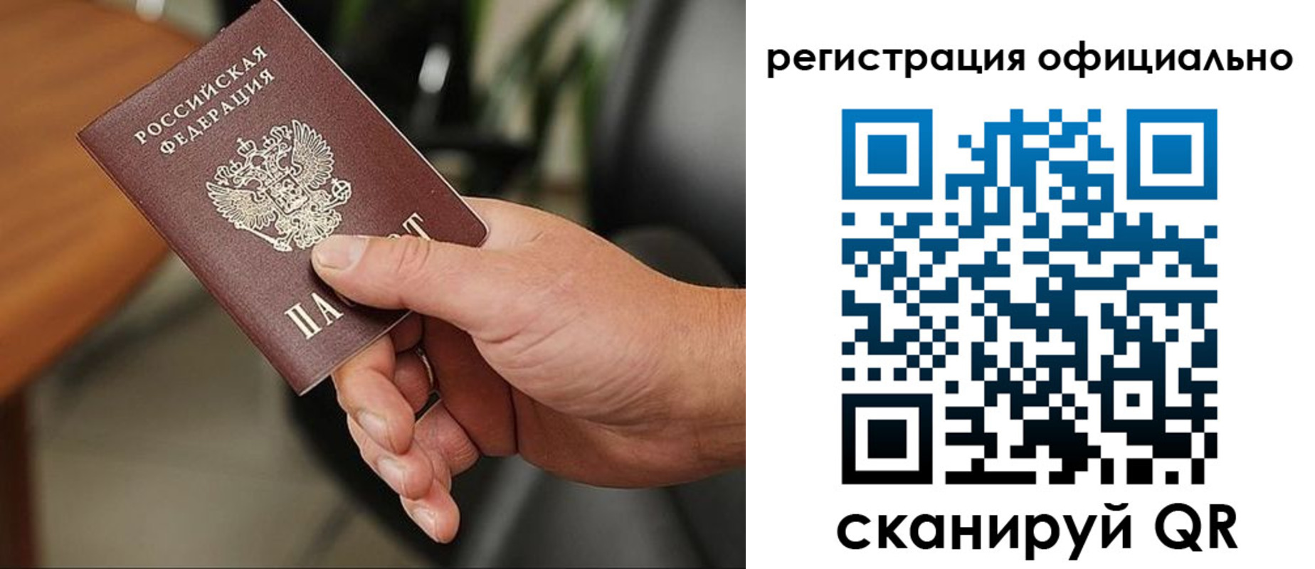 прописка гарантия в Карабаново